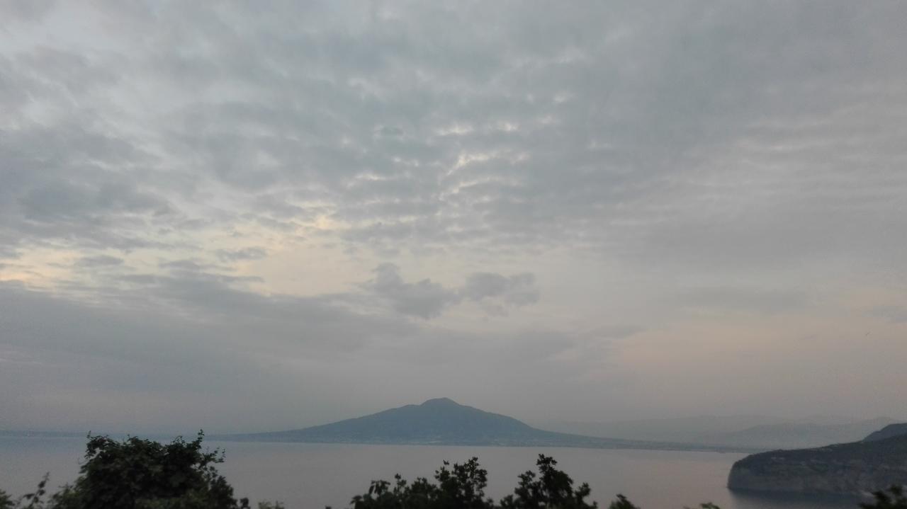 特雷莎别墅住宿加早餐旅馆 索伦托 外观 照片